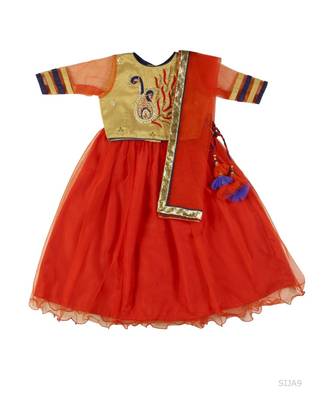 Embroiderd Choli With Lehenga 1