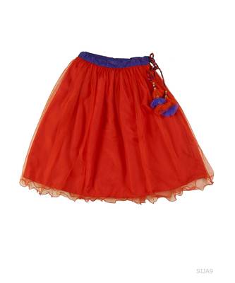 Embroiderd Choli With Lehenga 3