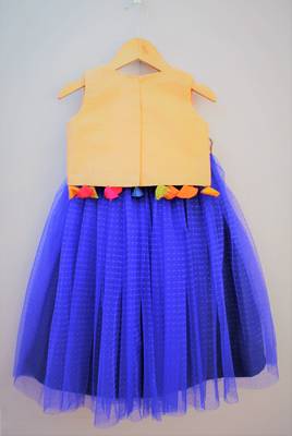 Blue & Beige	 Many Frocks & Netted Lehenga Choli 2