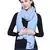 Light Blue Pure Woolen Solid Stole