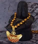 One Mukhi Rudraksha Pendant With Chain