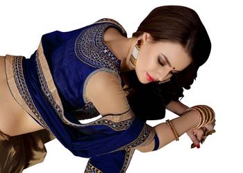 Navy blue embroidered fancy fabric saree with blouse 3