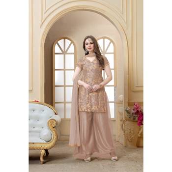 Rosybrown Color  Embroidered Moti Work Net  Sharara suit 3