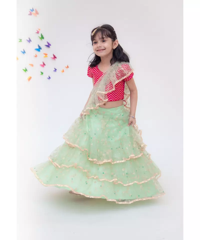 Green Net Saree with Pink Top