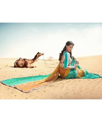 multicolor printed chiffon saree with blouse 2