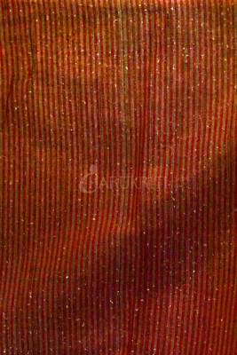 Silver Tissue Saree With Orange And Green Bird Motif Embroidery 4
