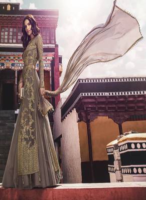 Brown embroidered net salwar 2