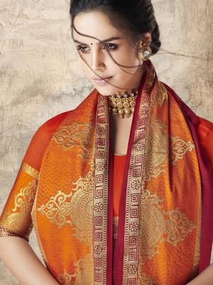 Red woven cotton silk saree with blouse 2