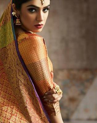 Multicolor woven silk saree with blouse 2