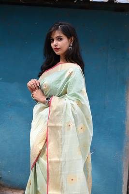 pastel green chanderi with Meena buttis 2