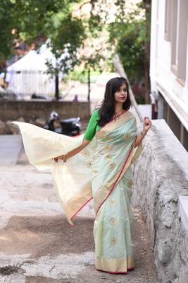 pastel green chanderi with Meena buttis 4