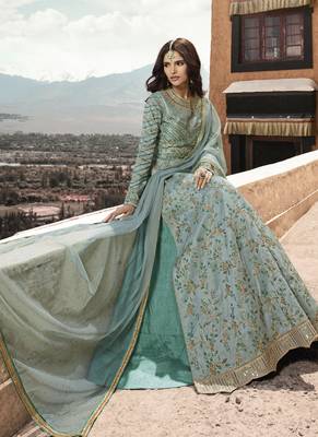 Sky-Blue Embroidered Net Salwar 2
