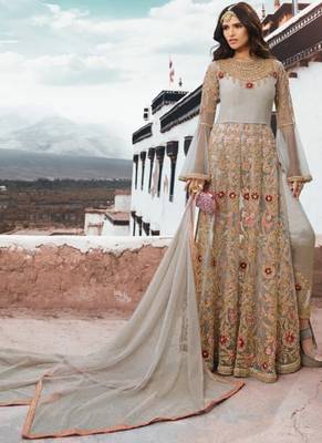 Grey Embroidered Net Salwar 2