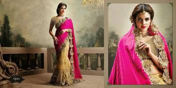 PINK and CHIKU embroidered chiffon saree with blouse 1