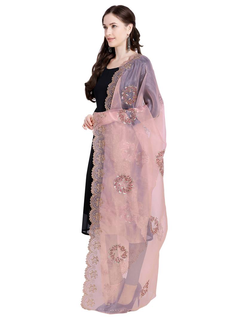 Brown Organza Embroidered Womens Dupatta