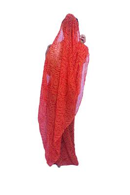 Red printed georgette saree with blouse 4