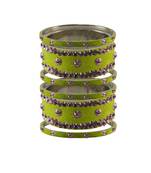 Parrot  Stone Stud Brass Bangle