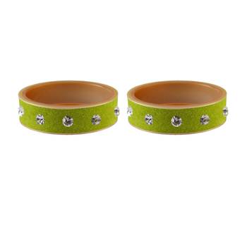 Parrot  Stone Stud Acrylic Bangle 2