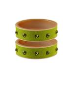 Parrot  Stone Stud Acrylic Bangle