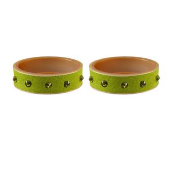 Parrot  Stone Stud Acrylic Bangle 2