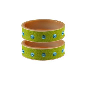 Parrot  Stone Stud Acrylic Bangle 1