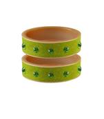 Parrot  Stone Stud Acrylic Bangle