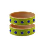 Parrot  Stone Stud Acrylic Bangle