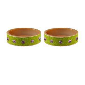 Parrot  Stone Stud Acrylic Bangle 2