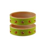 Parrot  Stone Stud Acrylic Bangle