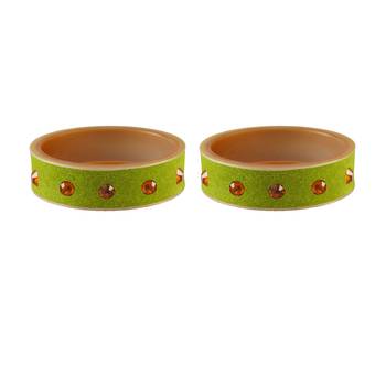Parrot  Stone Stud Acrylic Bangle 2