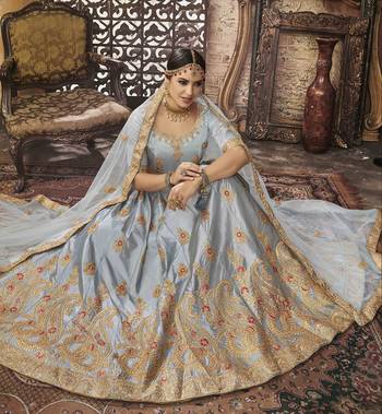 Grey Embroidered Silk Semi Stitched Lehenga 2