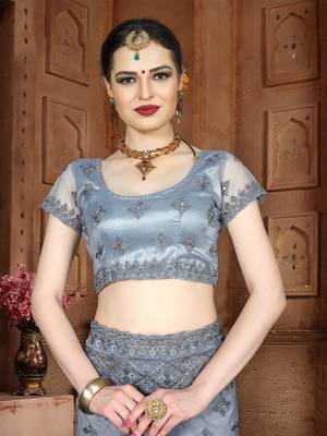 Grey Embroidered Net Saree With Blouse 4