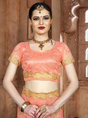 Peach Embroidered Net Saree With Blouse 4