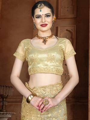 Beige Embroidered Net Saree With Blouse 4