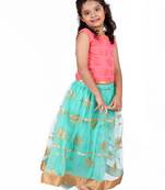 Pink & Green Sleeveless Brcoade Top And Net Lehenga Set