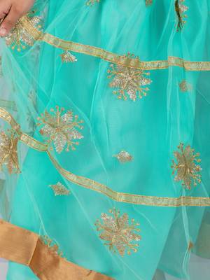 Pink & Green Sleeveless Brcoade Top And Net Lehenga Set 6