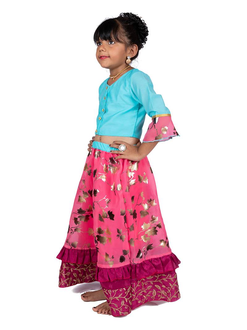 Blue & Pink Organza Lehenga And Buttoned Top Set