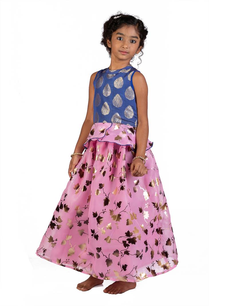 Blue & Pink Organza Lehenga And Buttoned Top Set