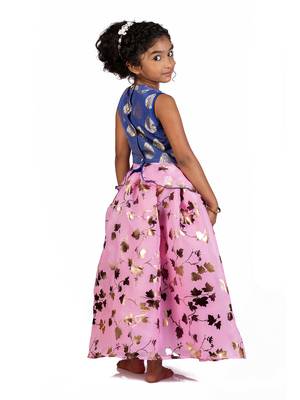 Blue & Pink Organza Lehenga And Buttoned Top Set 3