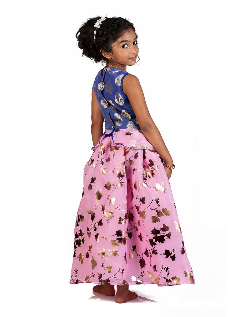 Blue & Pink Organza Lehenga And Buttoned Top Set