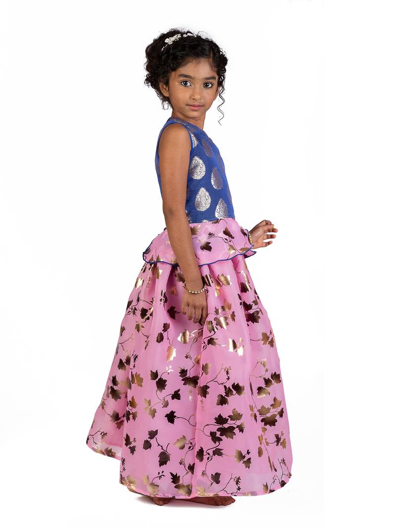 Blue & Pink Organza Lehenga And Buttoned Top Set