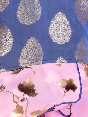 Blue & Pink Organza Lehenga And Buttoned Top Set 5