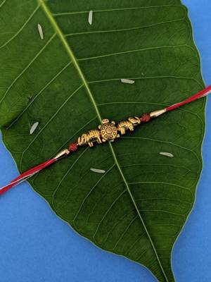 Tortoise Designer Rakhi Set For Men Gold Plated Elephant Rudraksha Beads Multicolor Thread Rakhi For Brother/Bhaiya/Bhai 1