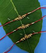 Tortoise Designer Rakhi (Pack Of 3) Set For Men Gold Plated Elephant Rudraksha Beads Multicolor Thread Rakhi For Brother