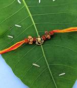 Ganesh Ji Designer Rakhi Set For Men Gold Plated Ganpati Bappa Rudraksha Damru Tulsi Multicolor Thread Rakhi For Brother