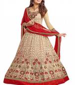 Cream Colored Brasso Net Embroidered Designer Anarkali Suit