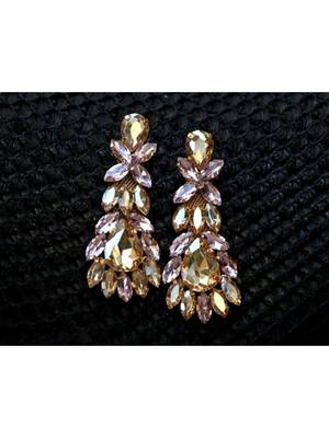 Multicolor earrings 1