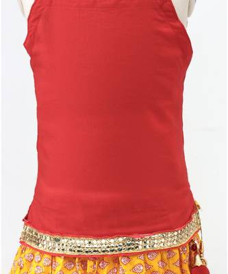 Mustard Lehenga With Red Choli 4