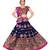 Navy Blue N Multicolor Kutch Embroidery and Mirror Rayon Navratri Wear Lehenga