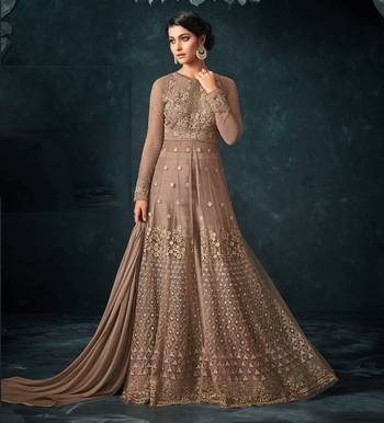 Light-brown embroidered net salwar 1
